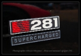saleen supercharged